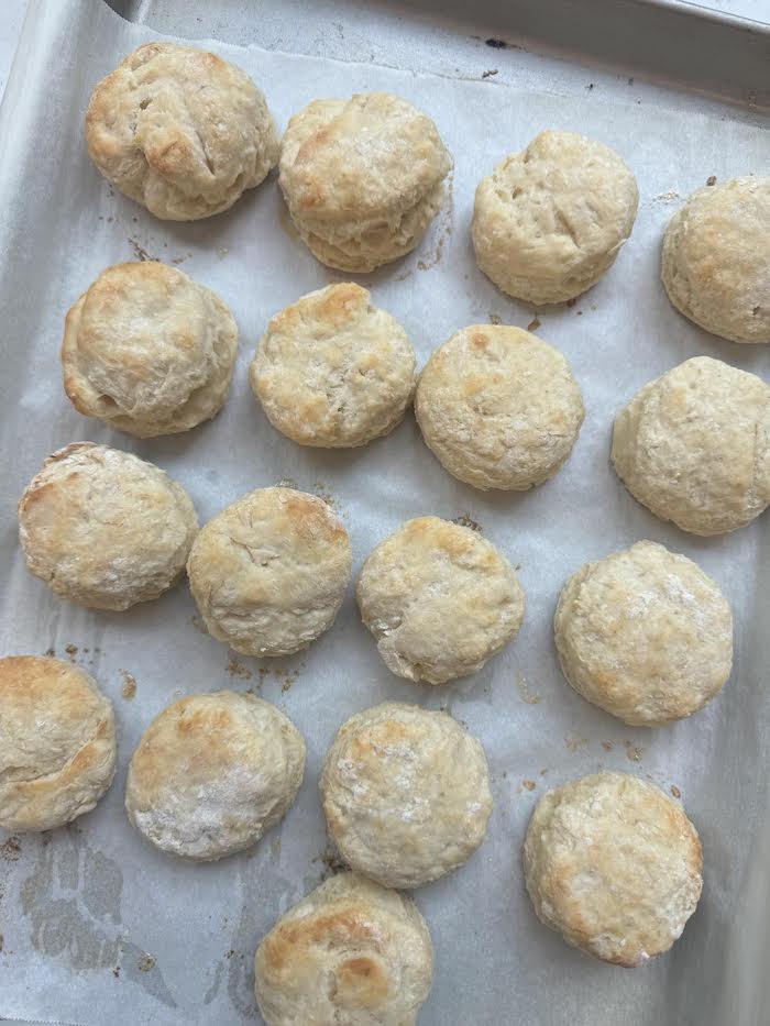 Biscuits on a cookie sheet